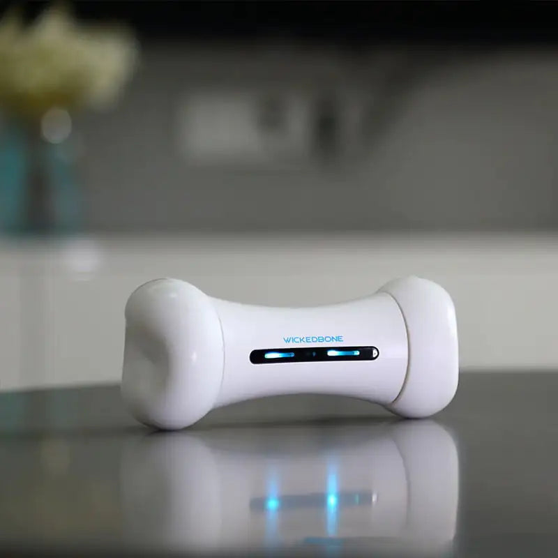 Smart Pet Toy - Crazy Bone Driven Board
