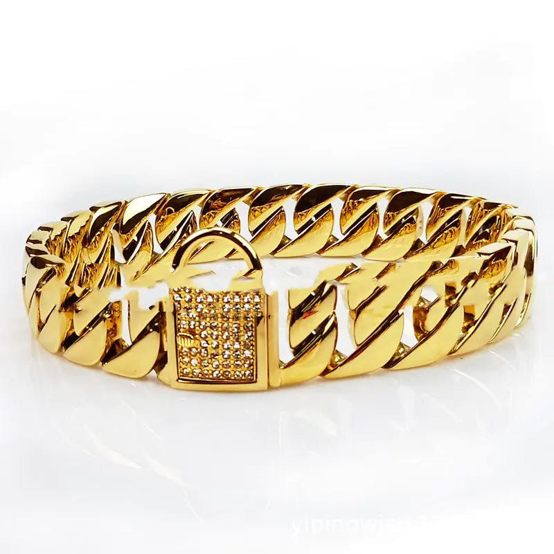 Stainless Steel Pet Chain Dog Collar and Leash